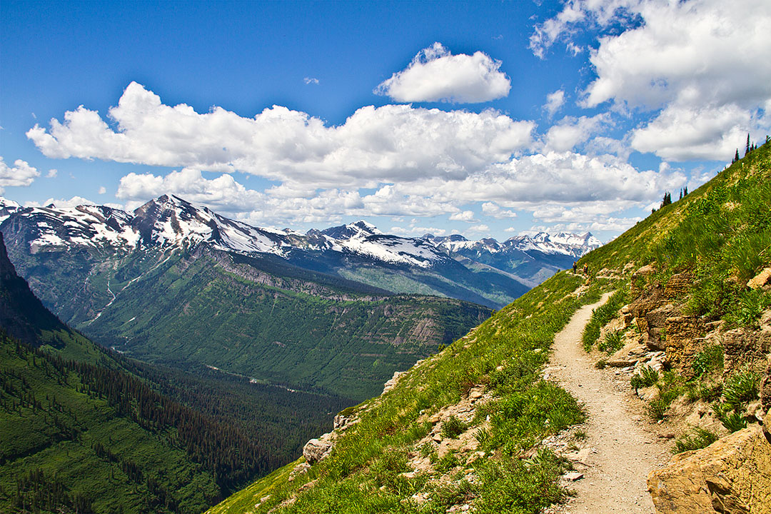 Highline Trail Glacier National Park + 15 Best Day Hikes in the US