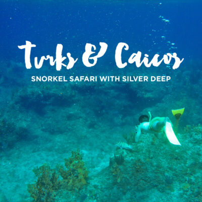 Turks and Caicos Snorkeling with Silver Deep.