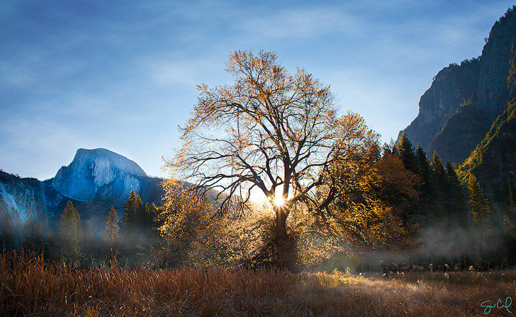 Cooks Meadow (15 Top Things to Do in Yosemite National Park).