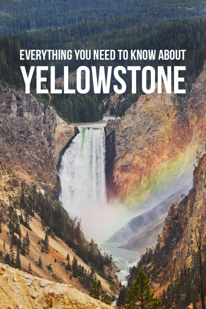 The Best of Yellowstone National Park - Your essential guide to attractions, day hikes, where to spot wildlife, and more // Eearth Travel