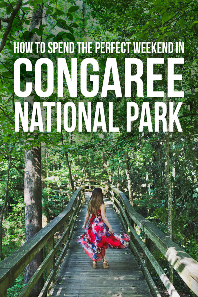 Best things to do in Columbia SC - Congaree National Park