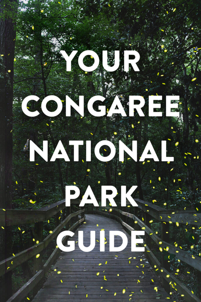 7 best things to do in Congaree National Park South Carolina
