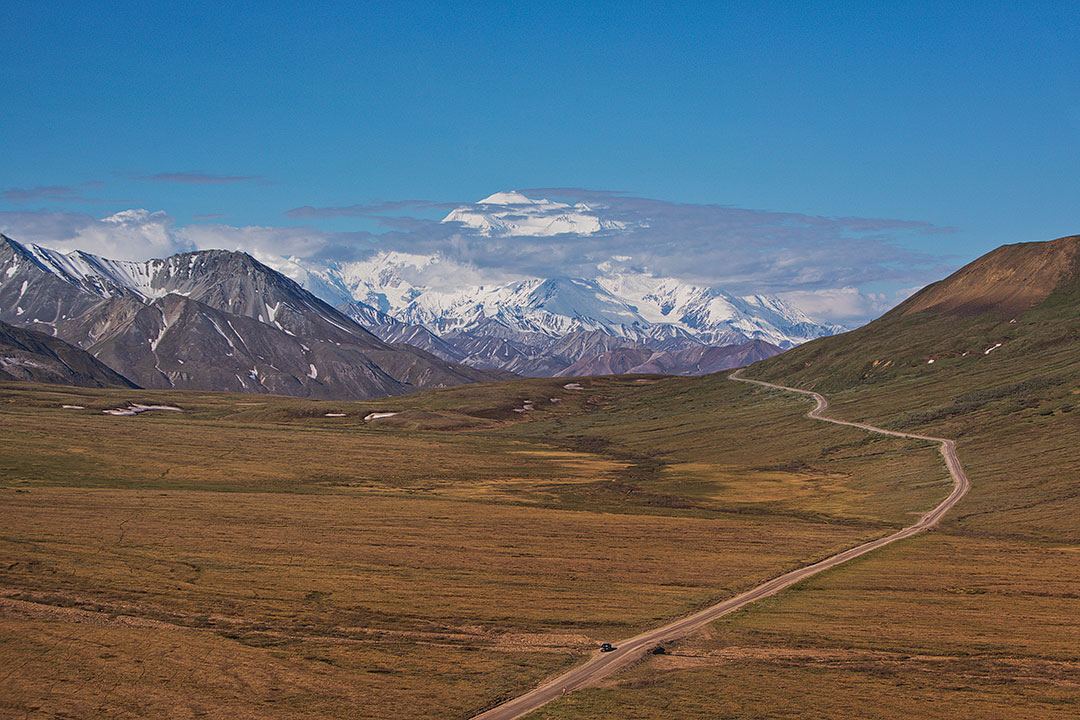 You are currently viewing 17 Unforgettable Things to Do in Denali National Park