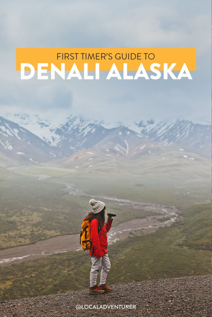 17 Unforgettable Things to Do in Denali National Park Alaska